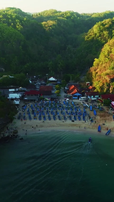 Warm evening light illuminates a secluded coastal cove surrounded by forest.. Stock Footage 341548175