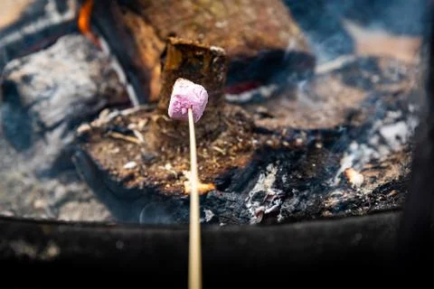 A Warm Fire With a Marshmellow Stock Photos