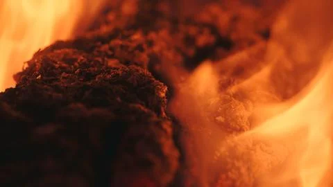 Warm Fire 写真素材