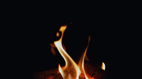The warm flames flicker brightly against the dark background, creating a Stock Footage 295889139