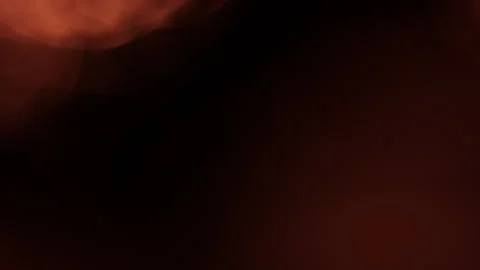 Warm Flickering Firelight With Blooming Bokeh Glow Stock Footage 317113269