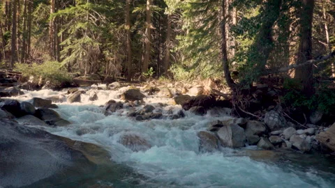 A Warm Forest and a Chilly River Stock Footage 251285712