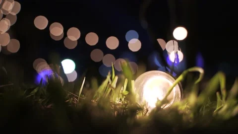 Warm globe string light bulb Video stock 147963555