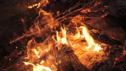 Warm glow from a campfire creating mesmerising flames in the night Video stock 313979137