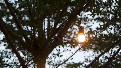 Warm Glowing Light Bulb Hanging On Wire With Tree Leaves Background Stock Footage 344735089