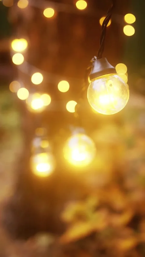 Warm Glowing String Lights with Bokeh Background Video stock 340376589