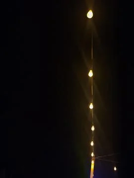 Warm Glowing String Lights on Garden Trees at Night Stock Photos