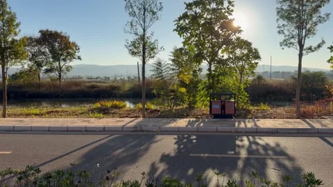 Warm golden hour light and long shadows along a quiet road Stock Footage 323525853