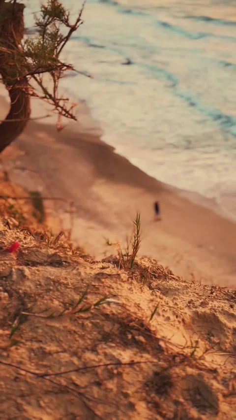Warm Golden Hour Light on Sandy Beach Cliff with Lone Walker Stock Footage 338034235