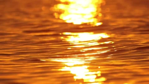 Warm Golden Sun Reflection Shimmering on Gentle Ocean Water Surface Stock-Footage 319484731
