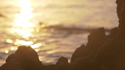 Warm golden sunset reflecting brightly over dark coastal rock silhouettes Stock Footage 337409506
