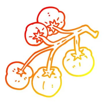Warm gradient line drawing cartoon tomatoes on vine Stockillustratie