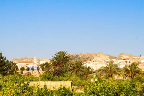 Warm image with lush vegetation and palm trees Stock Photos