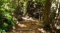 warm inviting footpath mountain early autumn 4k or 4k+ Resolution