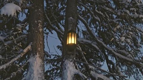 Warm lantern glowing between snow covered spruce trees in a quiet Norwegian 스톡 동영상 331126357