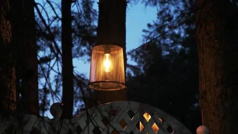 Warm lanterns illuminate a forest setting Stock Footage 317394809