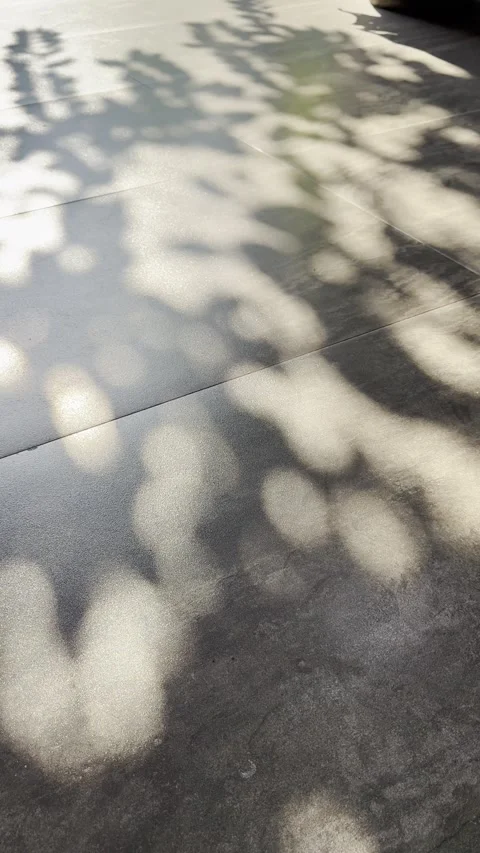 Warm Light and Tree Shadows on Grey Floor with Brutalist Summer Mood Stock Footage 346739683