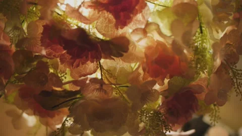 Warm light coming through the flowers Stock Footage 162980757