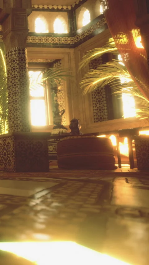 Warm light filters through palm leaves in a Moroccan interior space Stock Footage 331767401