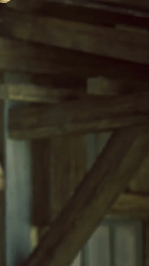 Warm light illuminates rustic wooden beams in a cozy interior setting Stock Footage 331839252