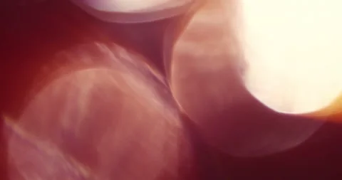 Warm Light Leaks from Vintage Camera Lens. Color Video Overlays. Light Filter. Stock Footage 155981940