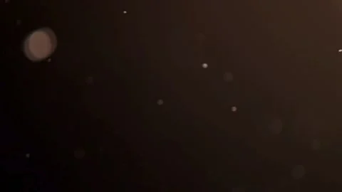 Warm light particles drifting slowly across a dark background Stock Footage 329597886