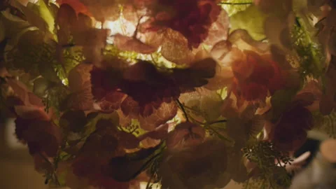 Warm light surrounded by flowers Stock-Footage 162980879