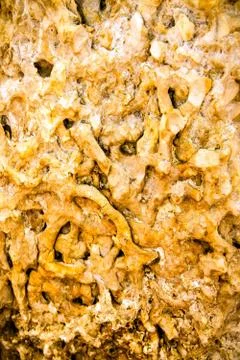 Warm limestone texture Stock Photos