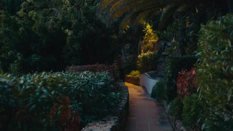 Warm Lit Garden Pathway Surrounded by Lush Greenery Stock-Footage 329287160