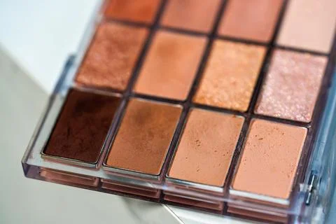 Warm neutral eyeshadow palette with multiple shades of brown bronze and pea.. Stock Photos