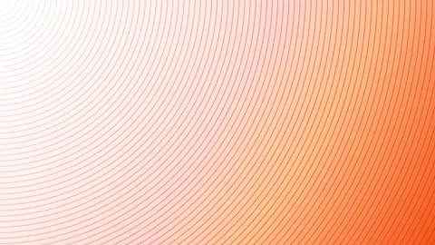 Warm Orange Abstract Background with Flowing Lines Geometric Waves and Circles Stock Footage 317677421