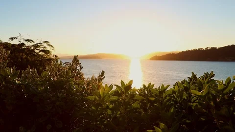 Warm Orange Sun Rises Over Ocean In New Zealand Vídeo Stock 89121448