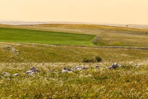 Warm pastures Stock Photos