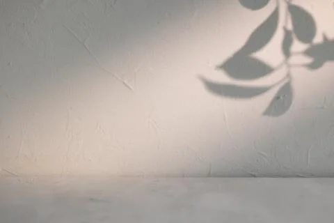 Warm plant shadow on old plaster wall with empty surface for natural mockup.. Stock Photos