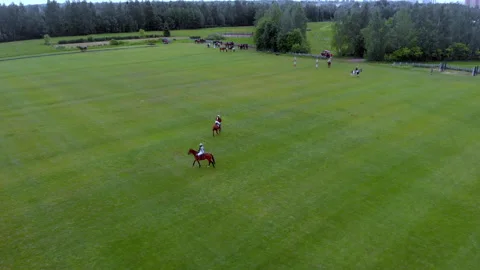 Warm up before the polo game 스톡 동영상 183938447