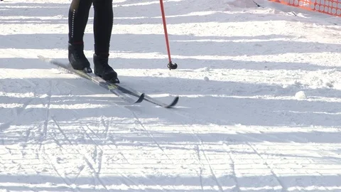 Warm up before the race Stock Footage 103503364