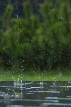 Warm rain in summer Foto stock