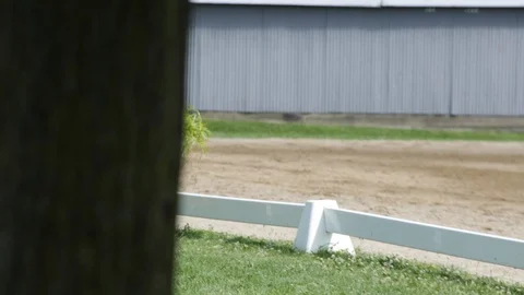 Warm up Ring at Horse Show Stock Footage 95822942