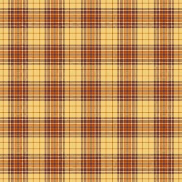 Warm, rustic tartan pattern with intersecting lines. Classic, cozy fabric tex Stock Illustration