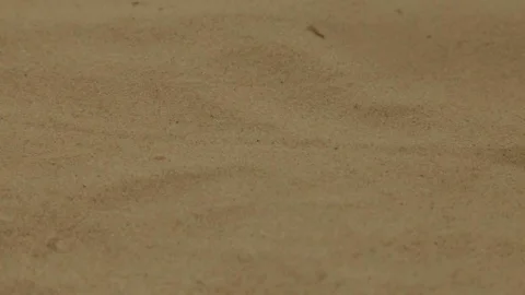 Warm sea sand on the beach Stock Footage 79106575