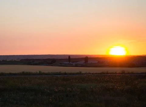 The warm southern sun sets in the fields of rye and sunflower Stock Photos