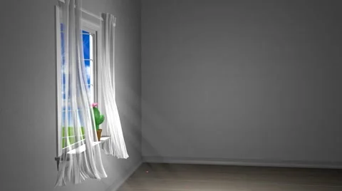 Warm spring breeze blowing fallen cherry petals through a sunny open window Stock Footage 58824202