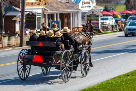 Warm spring day in a buggy Stock Photos