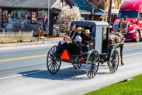 A warm spring day in a buggy Stock Photos