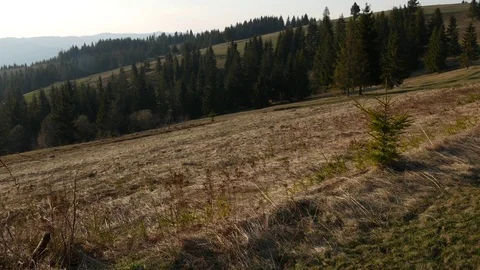 Warm spring day in the mountains. Stock Footage 75750694