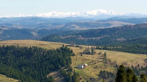 Warm spring day in the mountains. Vertical panning. Stock Footage 75389630