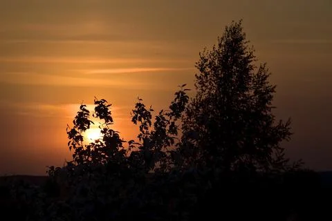 Warm spring sunset. The sun sets in light cirrus clouds Stock Photos