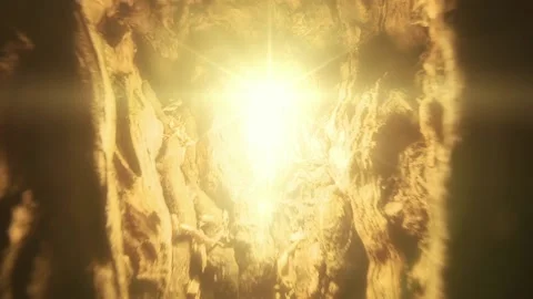 Warm Star Light Nested in Tree Trunk Glowing and Radiating in the Dark Video stock 143194200