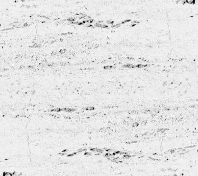 Warm stone or limestone texture Stock Photos