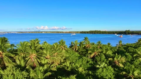 A warm summer day on the pristine tropical Hawaiian coast. Stock Footage 327770716